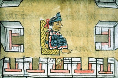Ms Palat. 218-220 Book IX Montezuma II, from the 